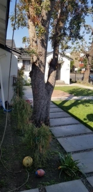 Apartment for rent