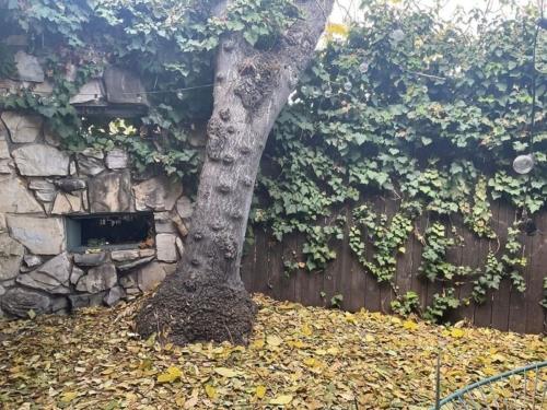 11940 Laurelwood Dr, Studio City, CA 91604