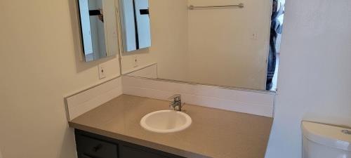 1437 E Windsor RD, Glendale, CA 91205