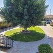 1111-15 W. Fay Ln., Anaheim, CA 92805